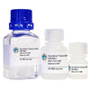 GlycoElute Elution Buffer - SNA/EBL I