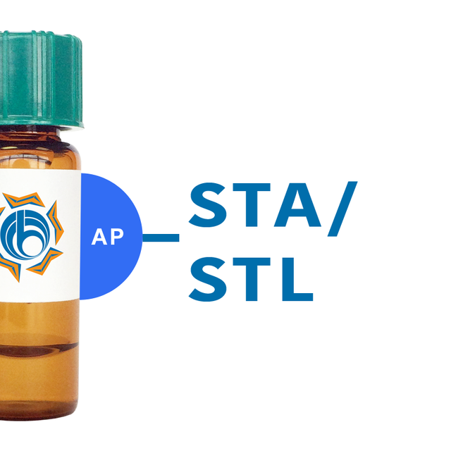 Solanum tuberosum Lectin (STA/STL) - AP (Alkaline Phosphatase)