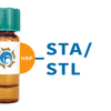 Solanum tuberosum Lectin (STA/STL) - HRP (Horseradish Peroxidase)