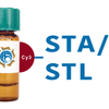 Solanum tuberosum Lectin (STA/STL) - Cy3