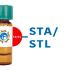 Solanum tuberosum Lectin (STA/STL) - TRITC (Rhodamine)
