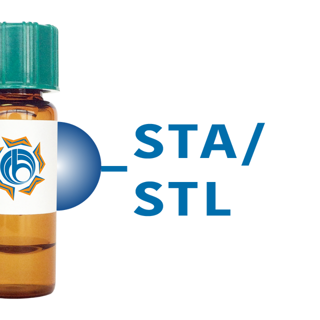 Solanum tuberosum Lectin (STA/STL) - Separopore® 4B