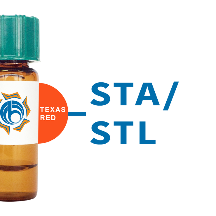 Solanum tuberosum Lectin (STA/STL) - Texas Red