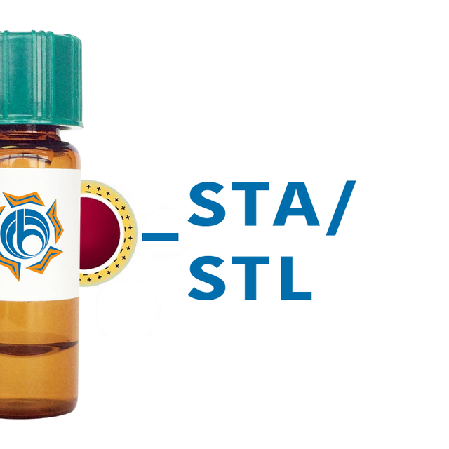 Solanum tuberosum Lectin (STA/STL) - Colloidal Gold