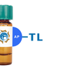 Tulip sp. Lectin (TL) - AP (Alkaline Phosphatase)