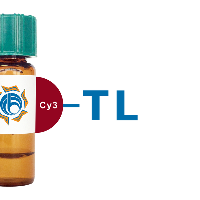 Tulip sp. Lectin (TL) - Cy3