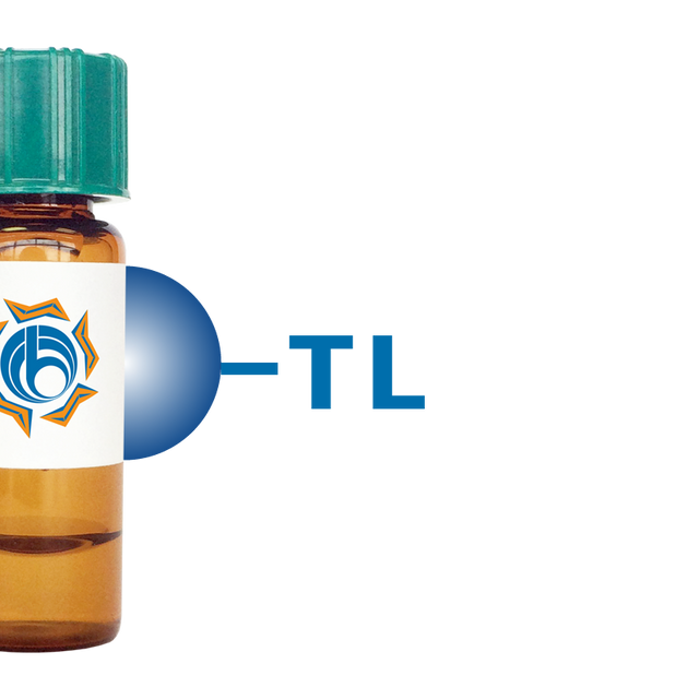 Tulip sp. Lectin (TL) - Separopore® 4B