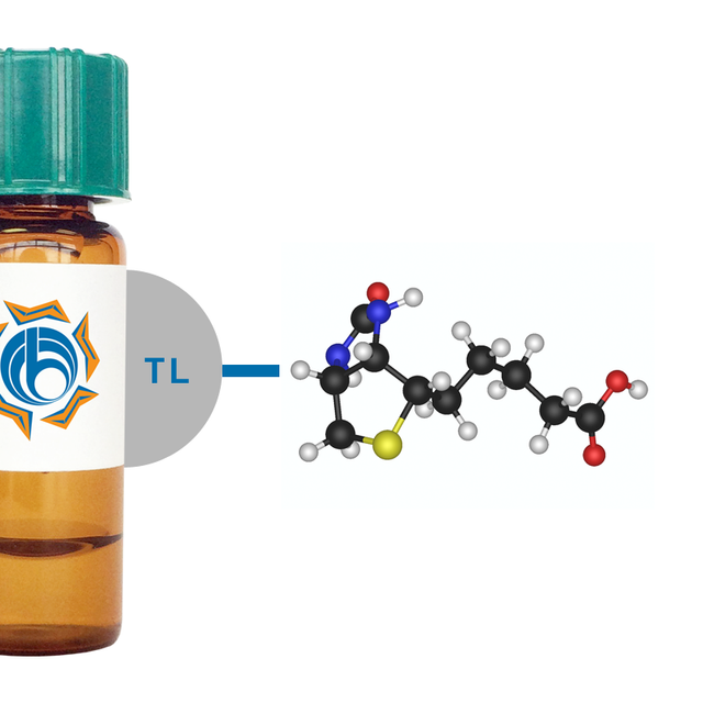 Tulip sp. Lectin (TL) - Biotinylated