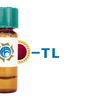 Tulip sp. Lectin (TL) - Colloidal Gold