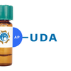 Urtica dioica Lectin (UDA) - AP (Alkaline Phosphatase)