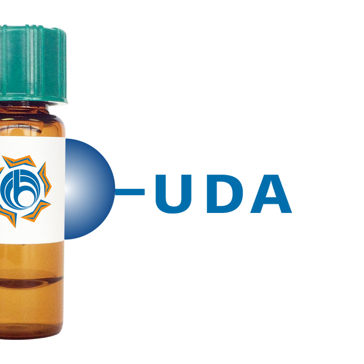 Urtica dioica Lectin (UDA) - Separopore® 4B