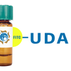 Urtica dioica Lectin (UDA) - FITC (Fluorescein)
