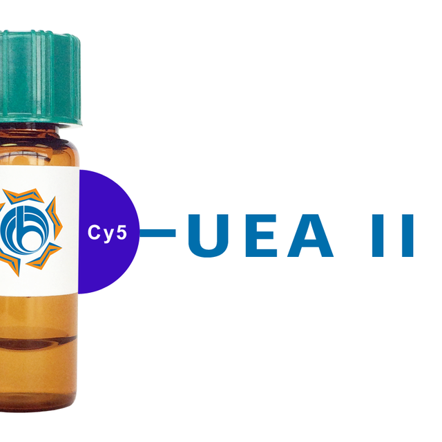 Ulex europaeus Lectin (UEA II) - Cy5