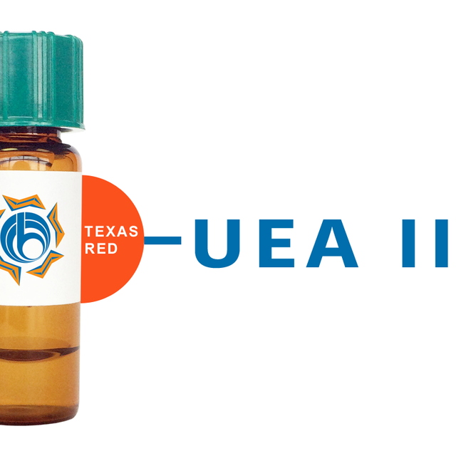 Ulex europaeus Lectin (UEA II) - Texas Red