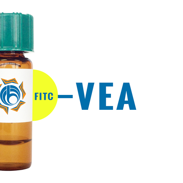Vicia ervilia Lectin (VEA) - FITC (Fluorescein)