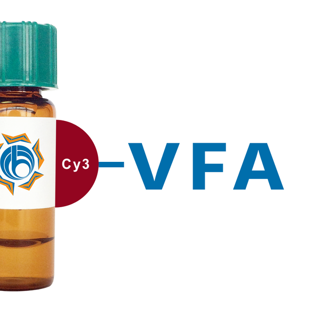 Vicia faba Lectin (VFA) - Cy3
