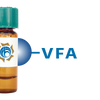 Vicia faba Lectin (VFA) - Separopore&reg; 4B