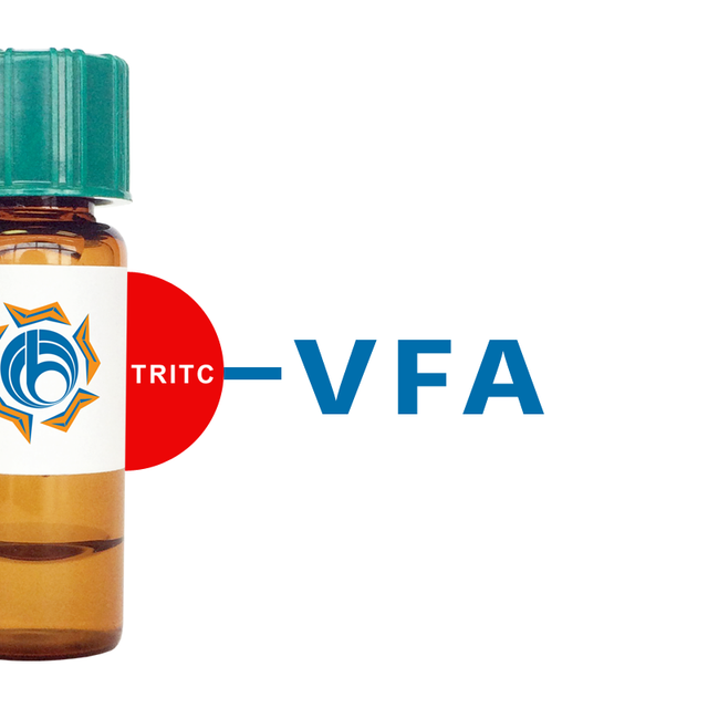 Vicia faba Lectin (VFA) - TRITC (Rhodamine)