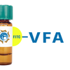 Vicia faba Lectin (VFA) - FITC (Fluorescein)
