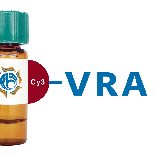 Vigna radiata Lectin (VRA) - Cy3