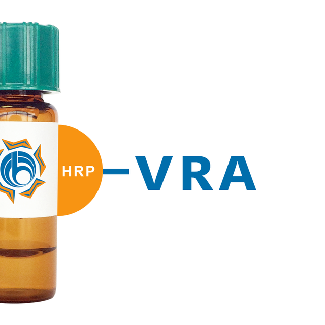 Vigna radiata Lectin (VRA) - HRP (Horseradish Peroxidase)