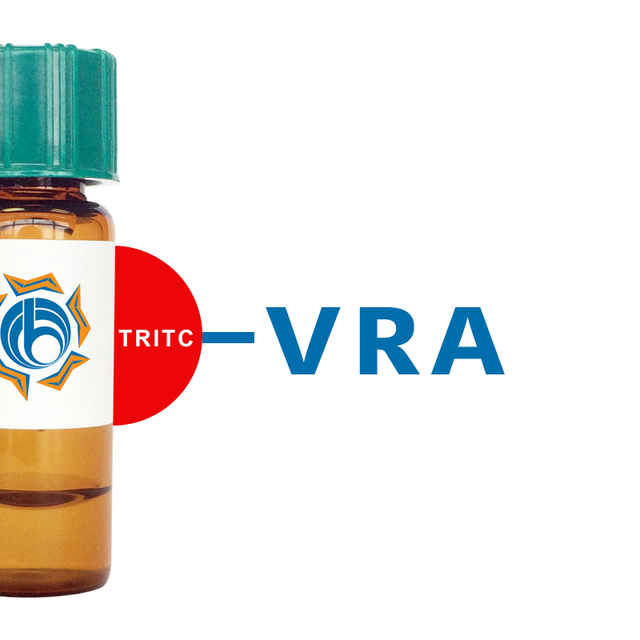 Vigna radiata Lectin (VRA) - TRITC (Rhodamine)