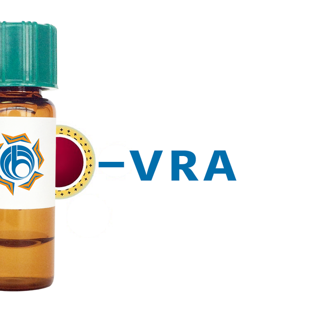 Vigna radiata Lectin (VRA) - Colloidal Gold