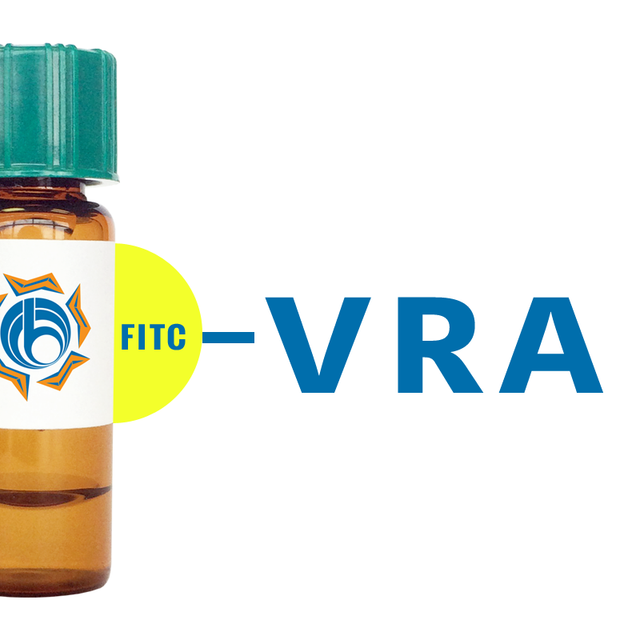 Vigna radiata Lectin (VRA) - FITC (Fluorescein)