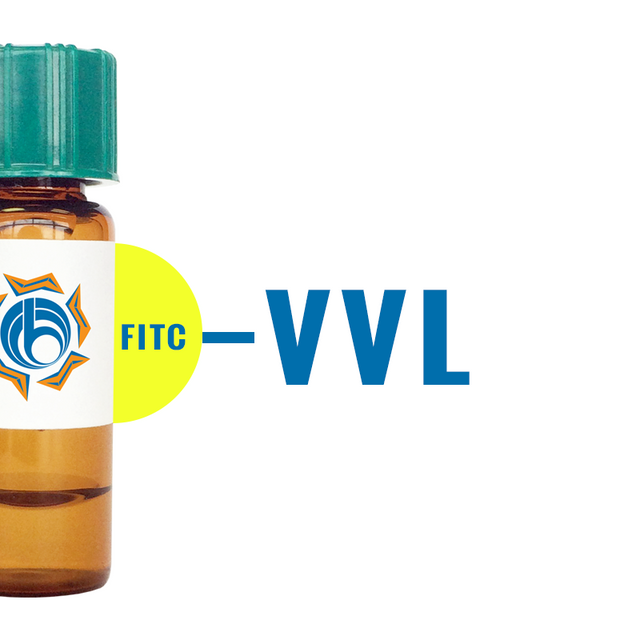 Vicia villosa Lectin (VVL/VVA) - FITC (Fluorescein)