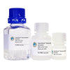 GlycoElute Elution Buffer - ACL/ACA