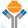 Anti-PHA-E+L Lectin Antibody (Rabbit Polyclonal IgG)