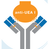 Anti-UEA I Lectin Antibody (Rabbit Polyclonal IgG)