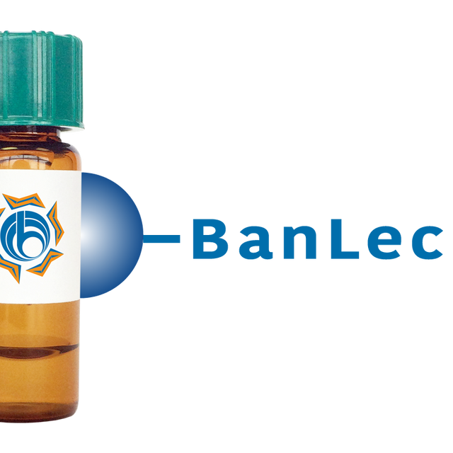 Musa paradisiaca Lectin (BanLec) - Separopore® 4B