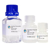 GlycoElute Elution Buffer - DBA