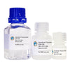 GlycoElute Elution Buffer - DSA/DSL