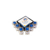 Galactose-Specific Separopore&reg; 4B Multi-Lectin Kit