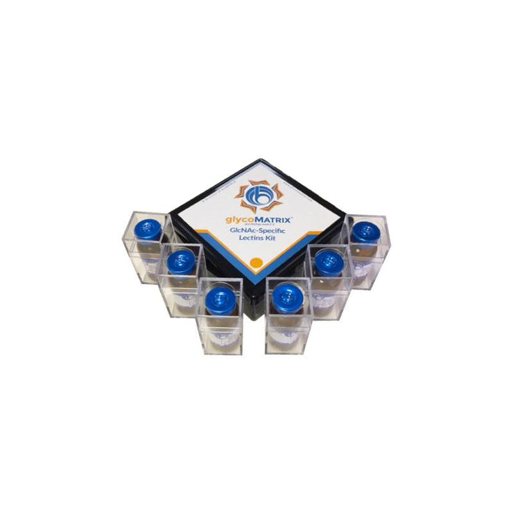 GlcNac-Specific Separopore® 4B Multi-Lectin Kit