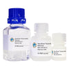 GlycoElute Elution Buffer - Mannose