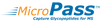 Lycopersicon esculentum (Tomato) Lectin (LEL/LEA) - Separopore® 4B MicroPass™ Microcolumns