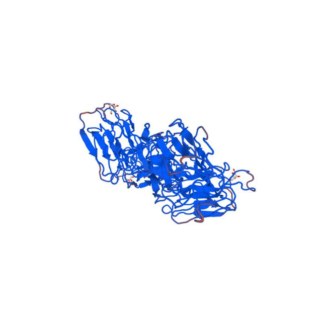 Morus rubra Lectin (MRL) - Semi-Pure