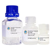 GlycoElute Elution Buffer - NPL/NPA