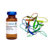 Psophocarpus tetragonolobus Lectin (PTL/PTA II) - Pure