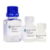 GlycoBind Binding Buffer - PTL/PTA I+II