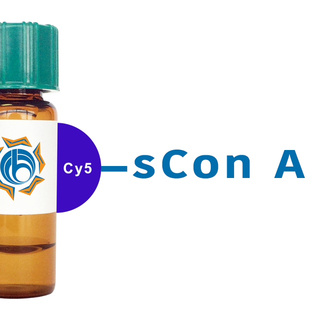 Succinylated Concanavalin A Lectin (Succ Con A) - Cy5