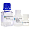 GlycoElute Elution Buffer - Succinylated Con A