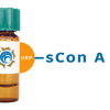 Succinylated Concanavalin A Lectin (Succ Con A) - HRP (Horseradish Peroxidase)
