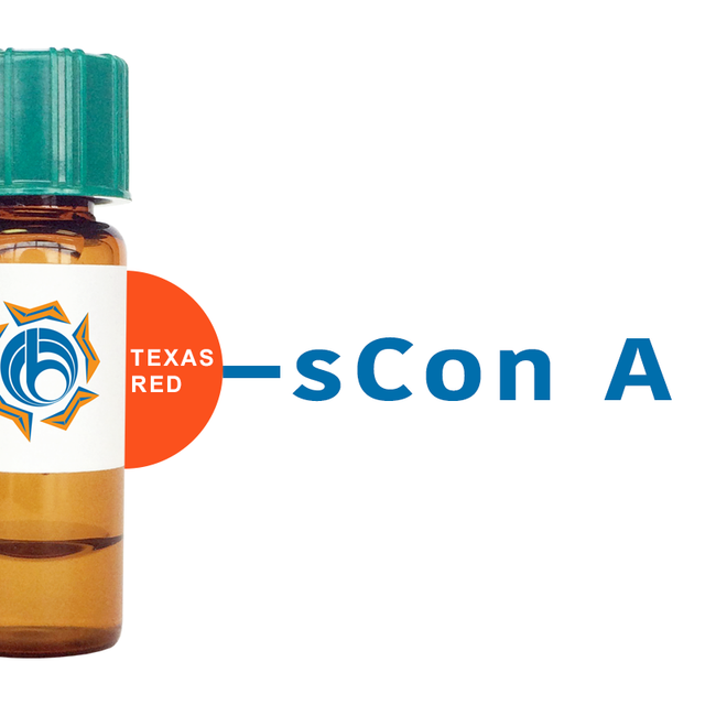 Succinylated Concanavalin A Lectin (Succ Con A) - Texas Red