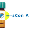 Succinylated Concanavalin A Lectin (Succ Con A) - FITC (Fluorescein)