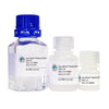 GlycoBind Binding Buffer - SNA/EBL I+II