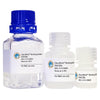 GlycoBind Binding Buffer - SNA/EBL I